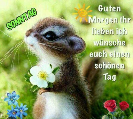 Screenshot_20251207_082812_Google