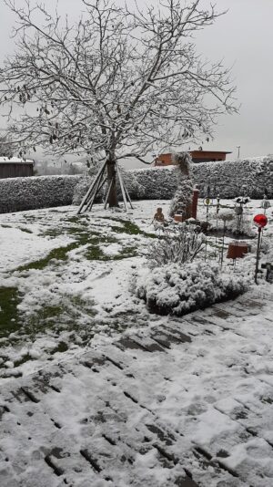 316257822_3231423403741185_7315856290990097818_n