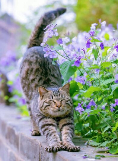 282098616_3202194206685041_1837105688155995723_n