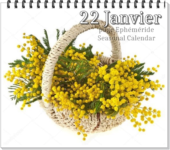 272301569_5042185489164840_2597768498974457488_n