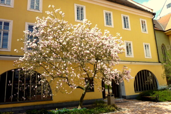 Franzensbad  April 2019