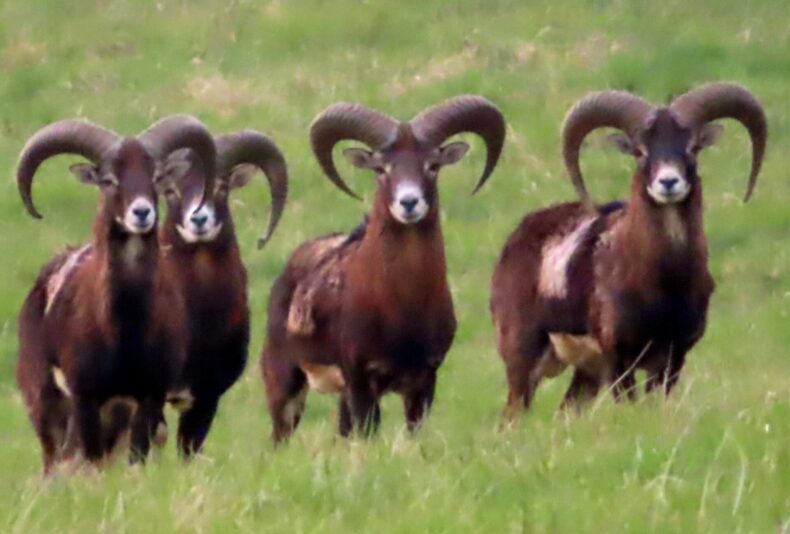 20240326161626_IMG_1987 (1)