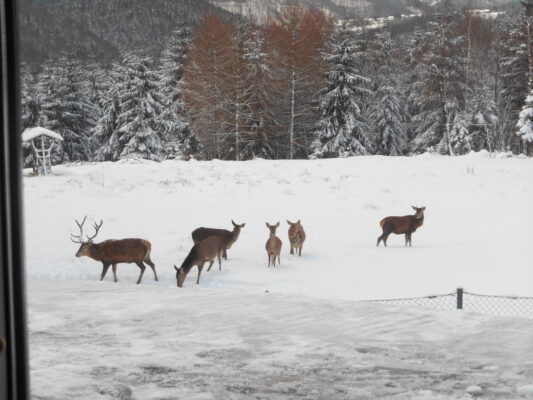 ein Tag in Oberhof 012