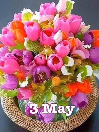 279467072_3185731428331319_612145181044784930_n (2)