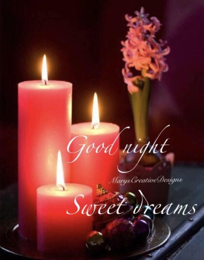 286882157_3220078478229947_4314387844709036215_n