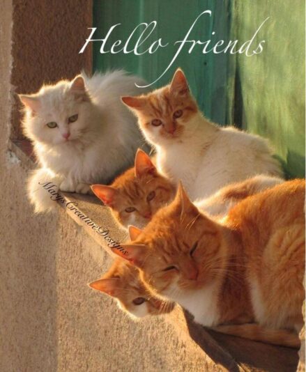 287698116_3225640671007061_5918559349217336759_n