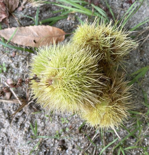 4E7DA515-1721-4C65-AA4F-68D6F8403C18