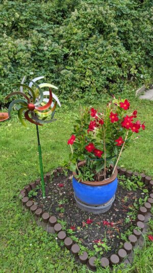 PXL_20230808_155804595