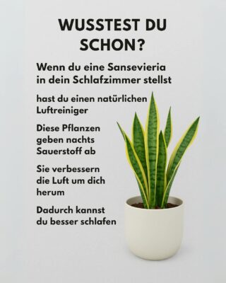 FB_IMG_1759218157549