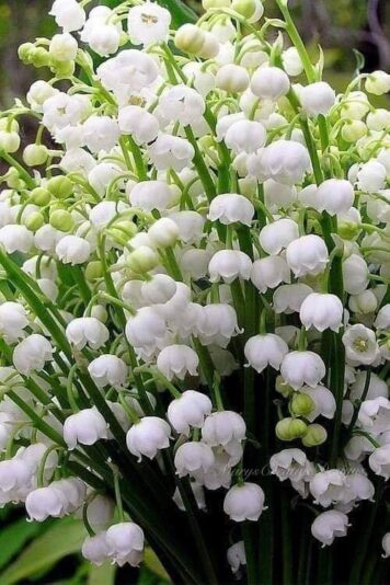 273221250_3117837718454024_2977540041800038240_n (1)