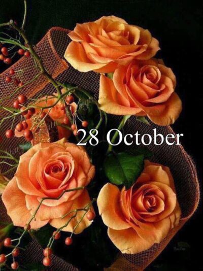 246620137_3037330529838077_2273569412292265804_n (1)