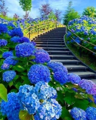 156258710_1177136006074037_4859868776835058679_n