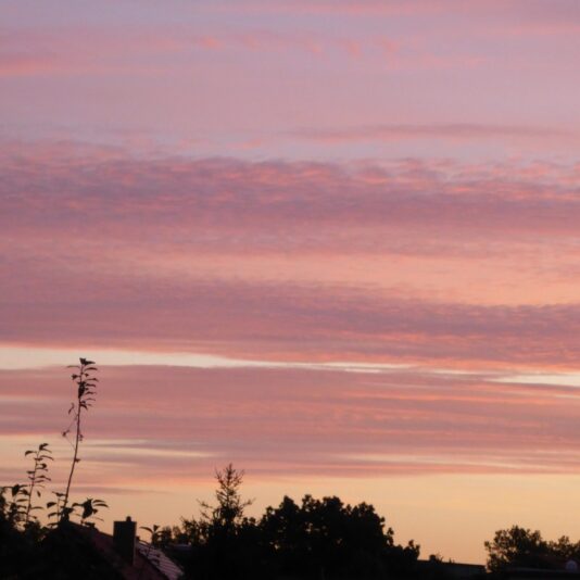 2022-07-28 ganzfrühmorgens (4)