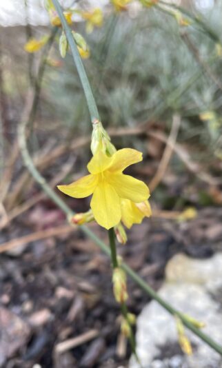 85F24267-5548-477F-9E47-9F5E1307CC83