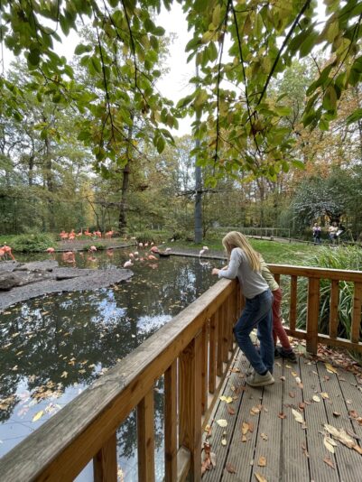 A8033D6A-7F6B-42E6-B370-AC9F2A25203F