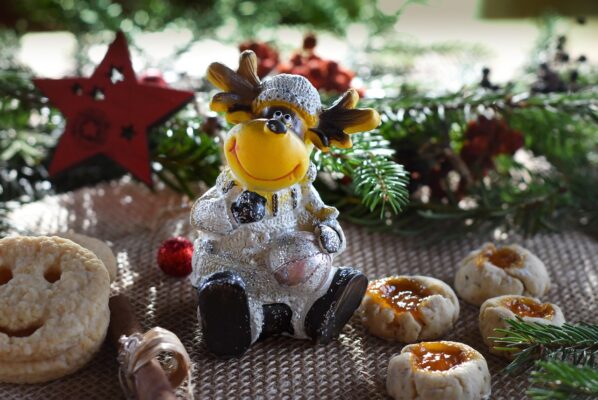 Am Morgen Weihnachtselch27.11.25