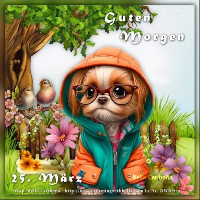 IMG_7416.JPG 25.3.25