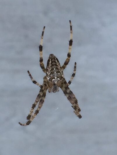 F6FDFCB2-C7BF-494F-BA67-A49AB1D024B3