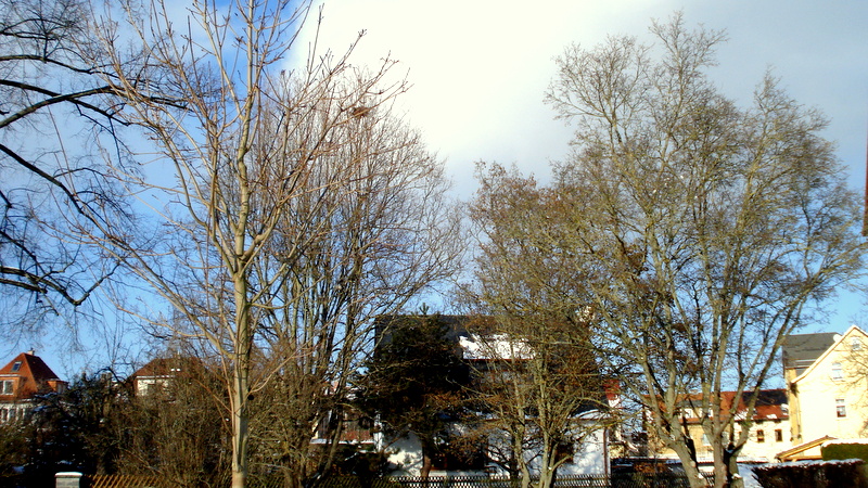 Mein Blick vom Balkon nach rechts.