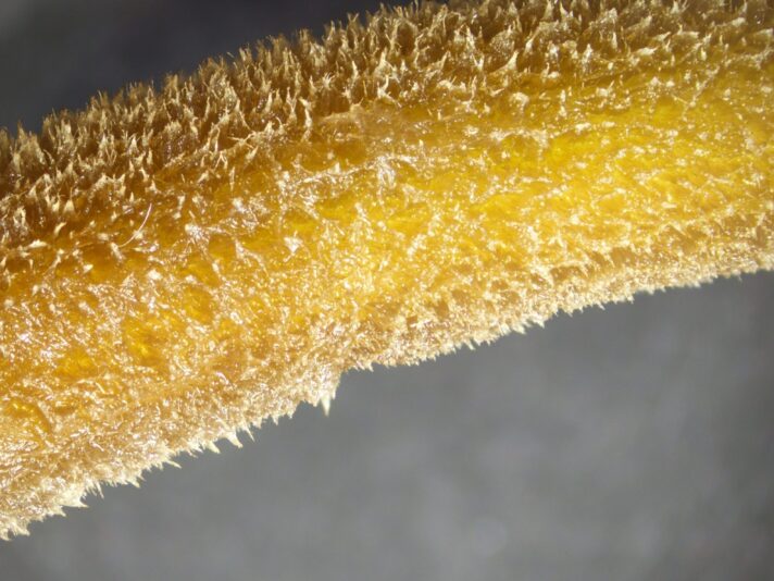 resized_230608145431_stackc