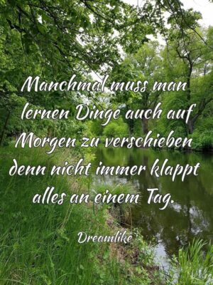 a24602063689efe143999b0a37abfdf6 (1)