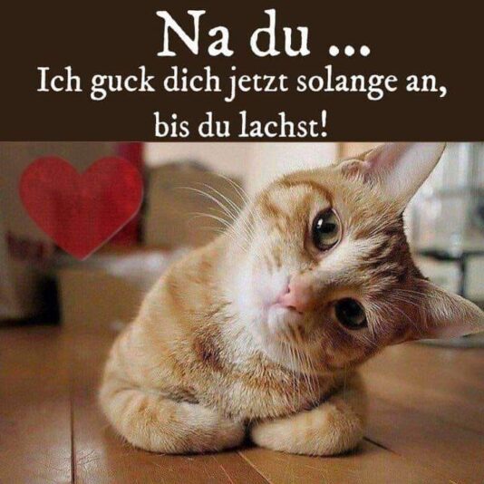 419796063_1060915285142561_1981648012486237973_n