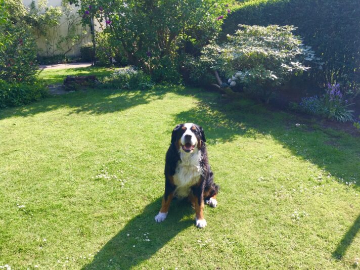 F196CF19-F799-4DA5-BEE9-6189E3369DC4