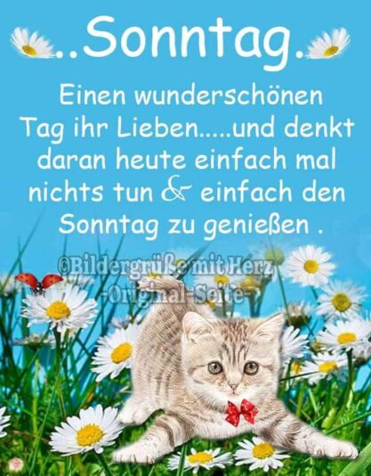 186493120_1230602897373195_6852714500669920707_n (1)