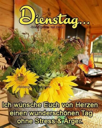 123814279_3453744684746594_3523940528772164225_n.jpg DIENSTAG