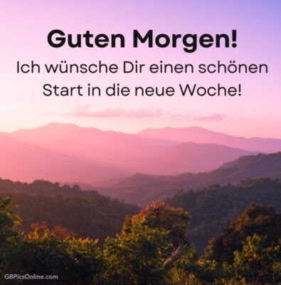 Gallery_1759723707612