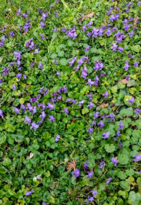 IMG_20240227_091453737