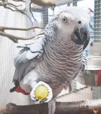 Bild_2023-09-16_161006727