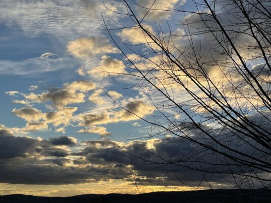 649479D3-14B7-4454-A72A-BF75EE72FE56