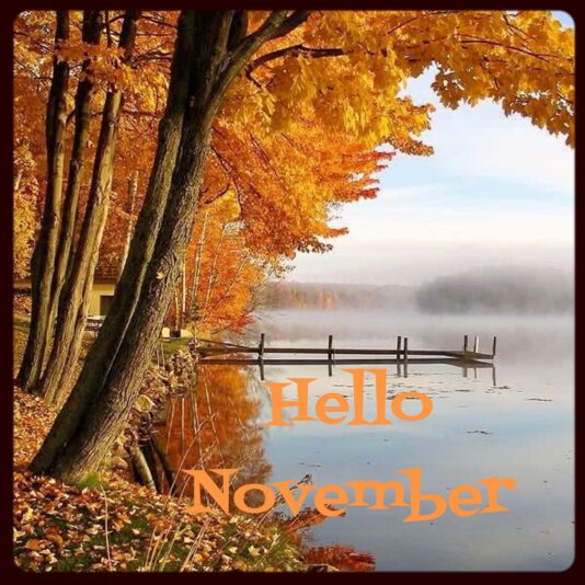 31ea6b6c824035630d3eb82a9eca4942