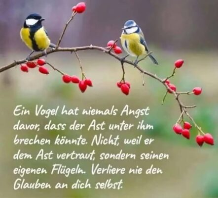 489172548_1707303676826598_2530623424378801483_n