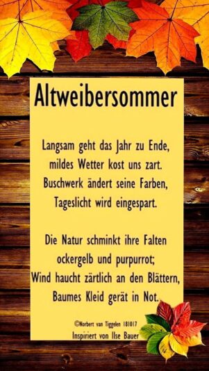 807988a019eac08130c7dc1a3486abdd