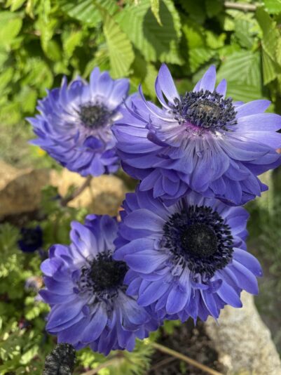 DECECE59-E180-485D-AB46-1393F906B623