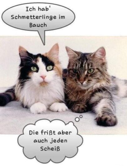 185222325_1223442674776703_6812052626030719980_n (2)