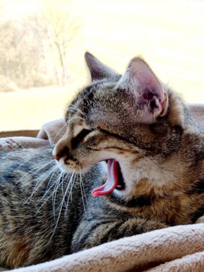 275550507_1363875414061311_2732568795302590048_n