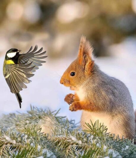 157302289_466155441090402_1967600269842717847_n