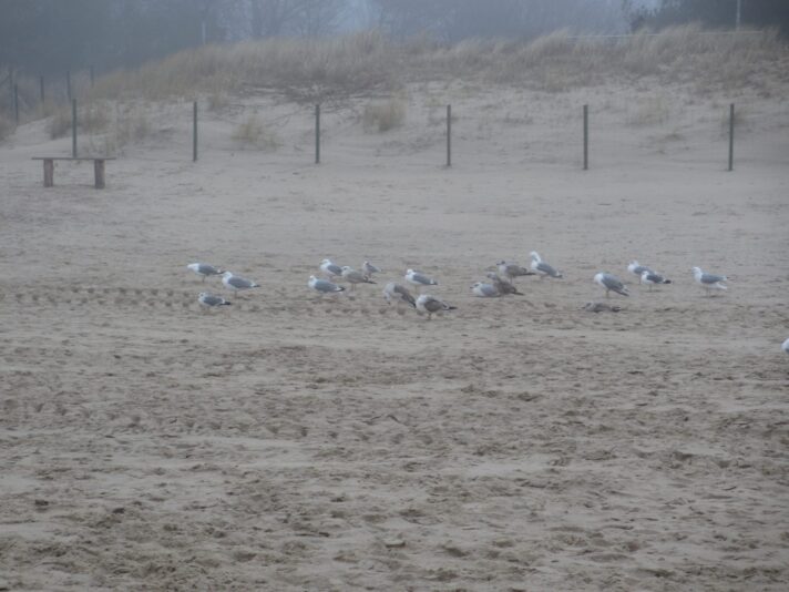 IMG_0006 - Kopie (2)