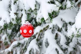 images - 2023-12-18T094253.037