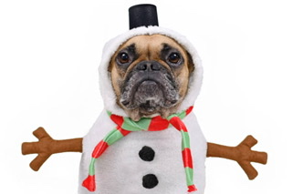 CB2B29EE-E210-4489-A648-AD5CC24DCA5C