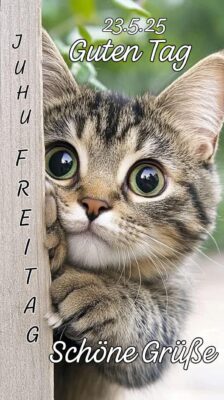 499480961_684323951122363_6777689685556238507_n