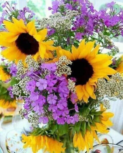 IMG_4931.JPG Sonnenblumen