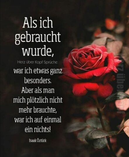 275852506_707447500445944_3491619134949448807_n