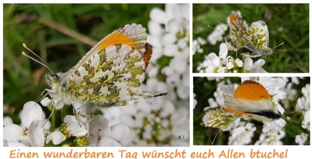 94981001_3325464430844399_5052002066998755328_n