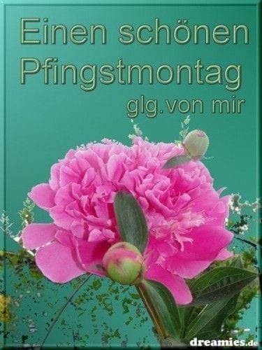 189575348_1235825750184243_1254198875858222702_n (1)