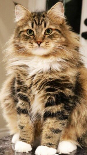 271888175_3100544436850019_621544133103703662_n