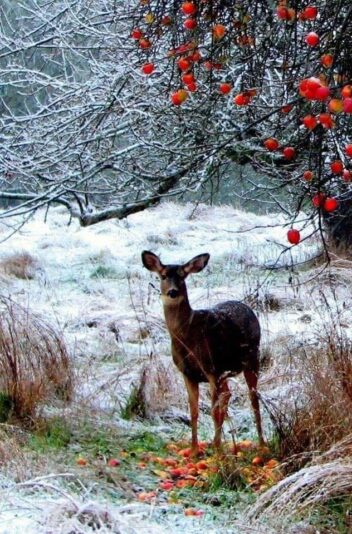 131897652_827433294781322_1963211919328674152_n